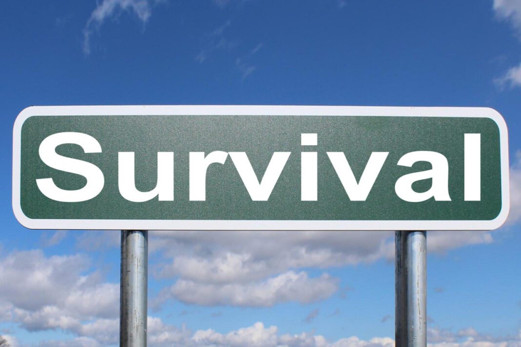 Survive & Thrive: Ultimate Castaways Marathon Guide!