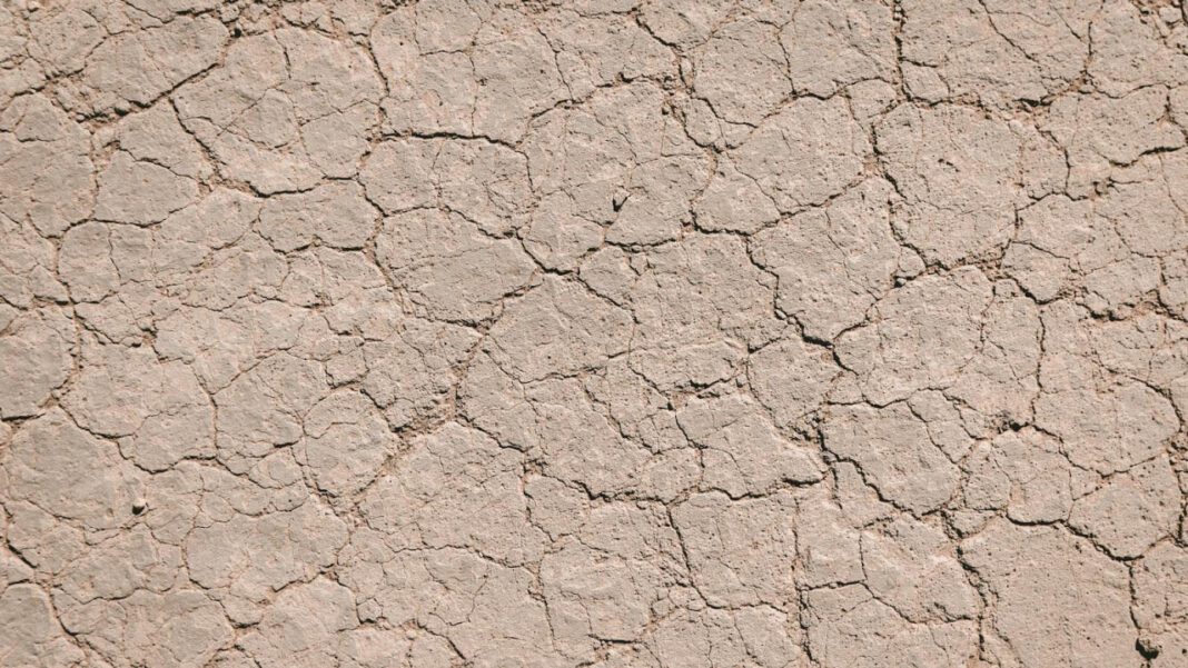 Cracking the Case: The Mystery of the Broken Yoke