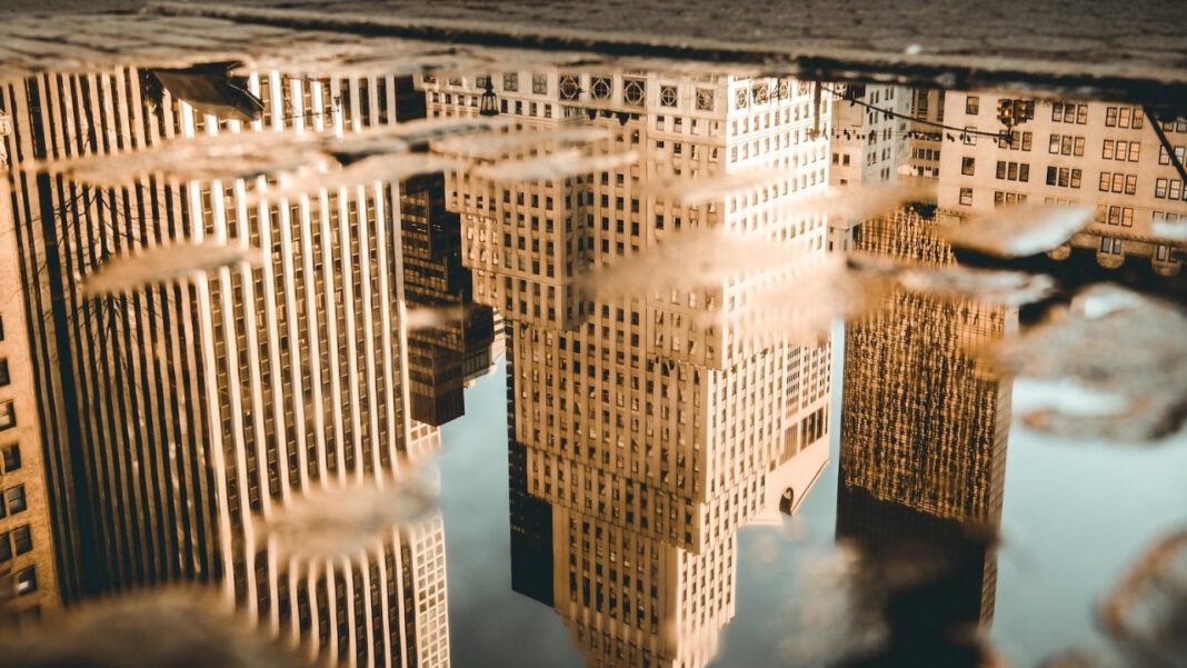 Discover the Beauty of New York’s State Flower