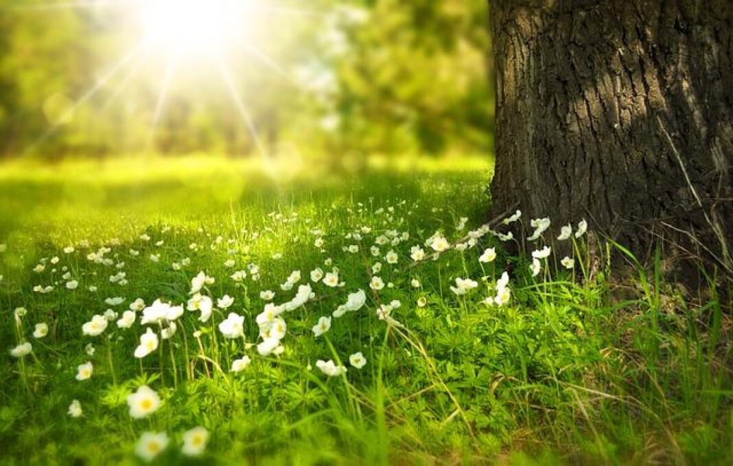 Experience Nature at Three Eagles Ranch: A Haven for Wildlife