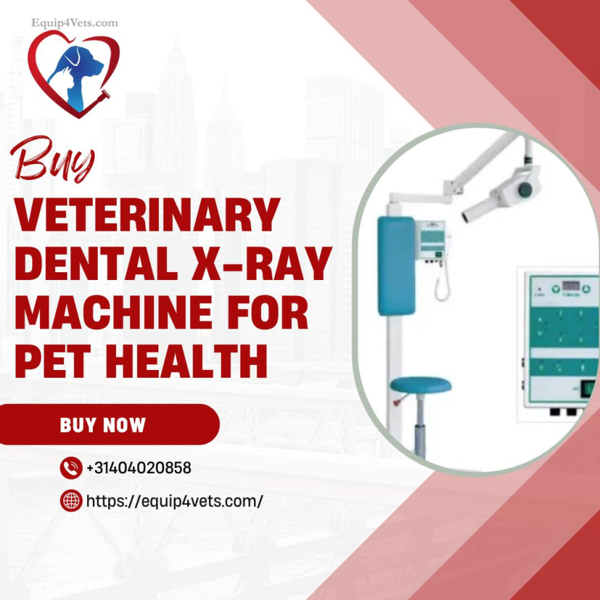 Kindred Spirits Vet: Your Trusted Animal Care Partner