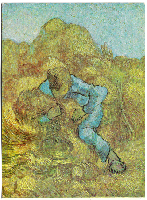 Exploring the Impact of Country Visions Coop’s Work