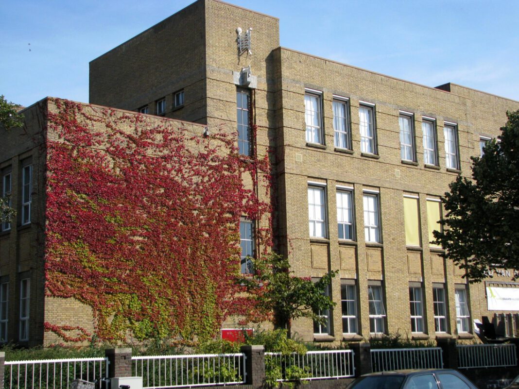 Fieldston School: A Premier Private Education Option