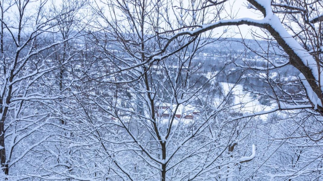 Fort Hamilton Hospital: Quality Healthcare Services