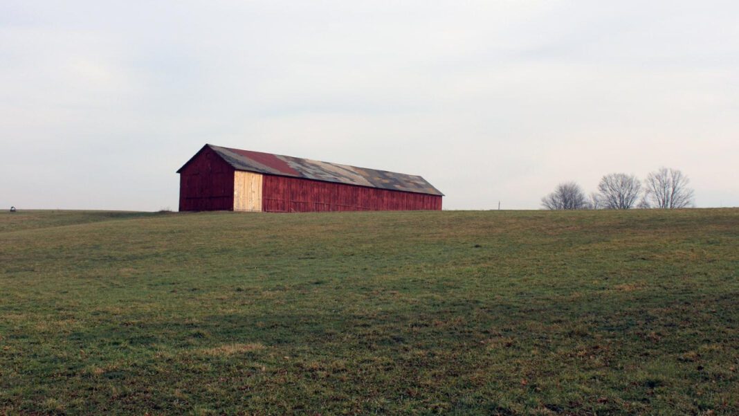 Discover the Charm of Red Barn in Santa Ynez Valley