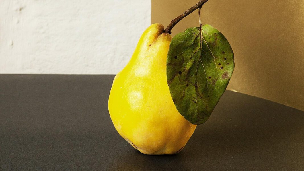 Flemington Food Pantry: A Haven for the Hungry