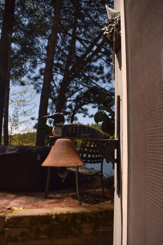 Exploring the Beauty of Mousam Lake: A Guide & Tips