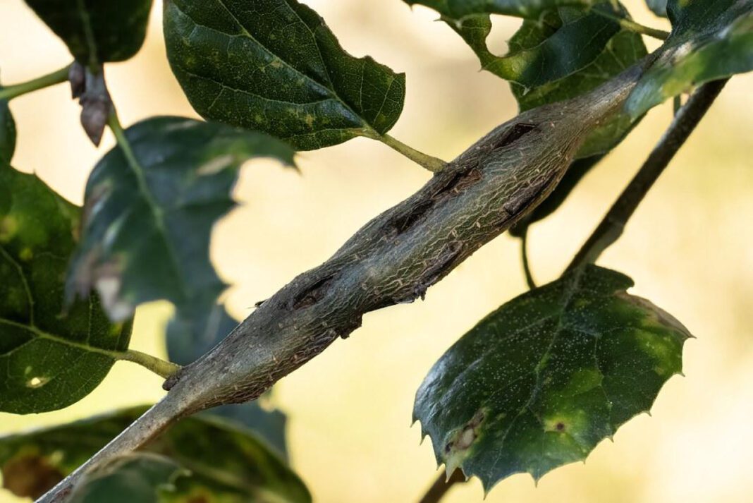 Exploring San Luis Obispo Children’s Museum