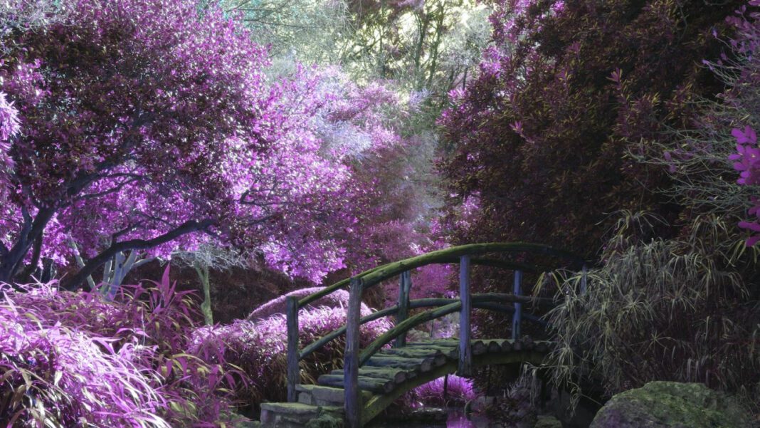 Dorothy’s Place: A Haven for Those in Need