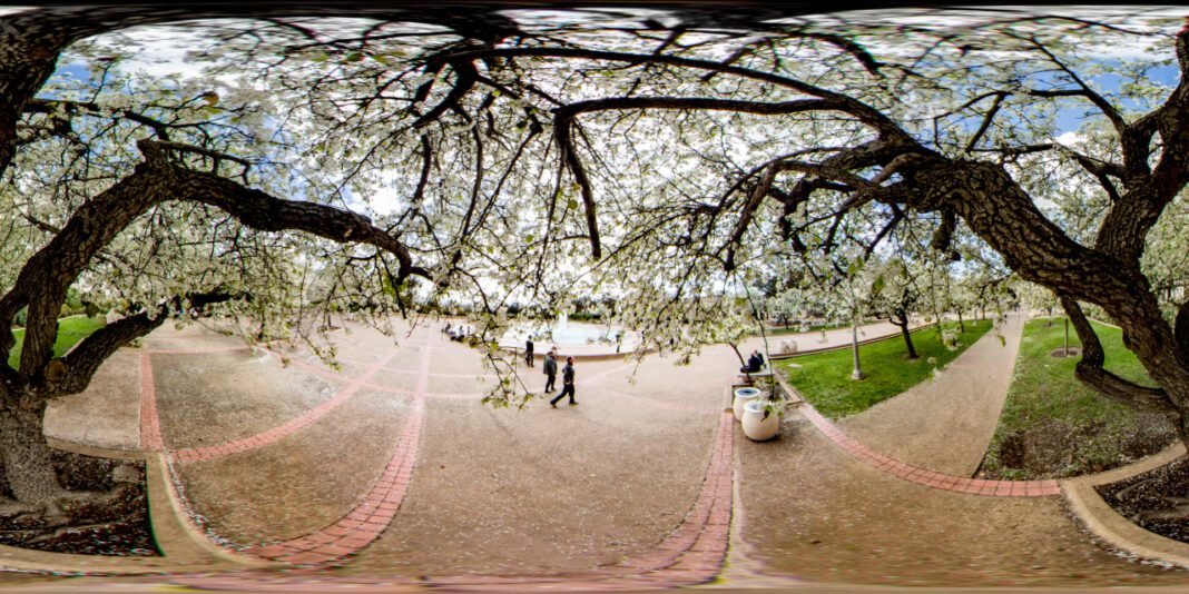 Discover the Best San Diego Family Care Near You