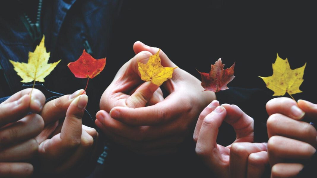 Iron County Community Credit Union: Building Stronger Financial Communities
