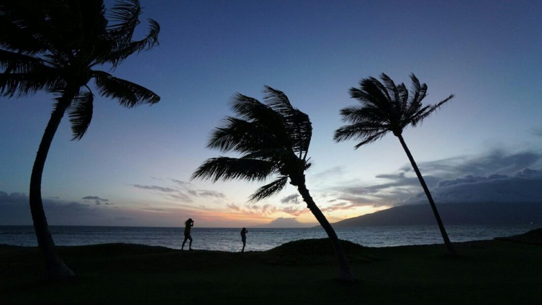 Explore the Beauty of Maui Nui Botanical Gardens