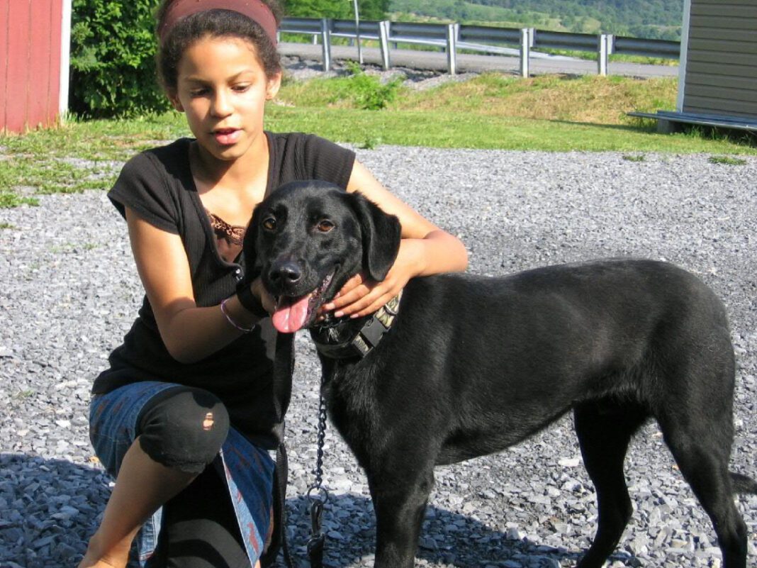 Discover the Heartwarming Work of Bedford County Humane Society