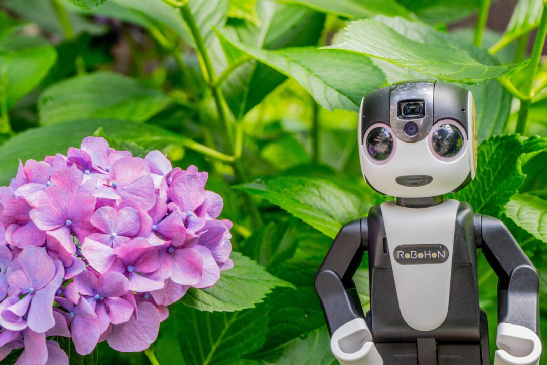 Discover the Innovative Features of Robohon: Your Personal Robot Companion