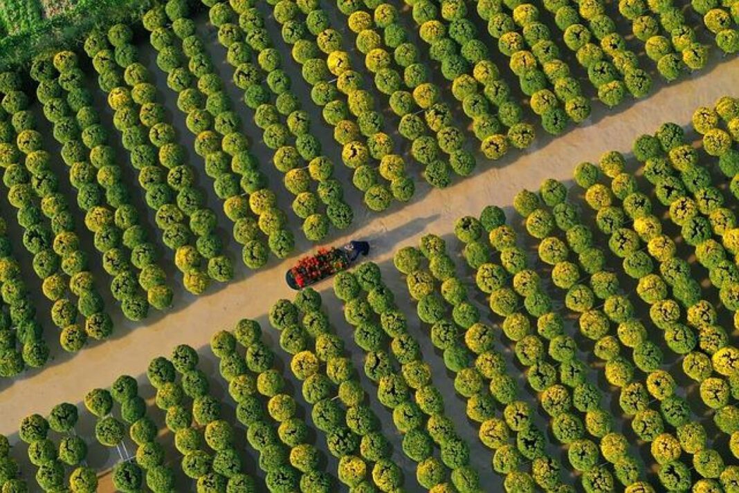 Ultimate Guide to IND vs SA Match: Everything You Need to Know