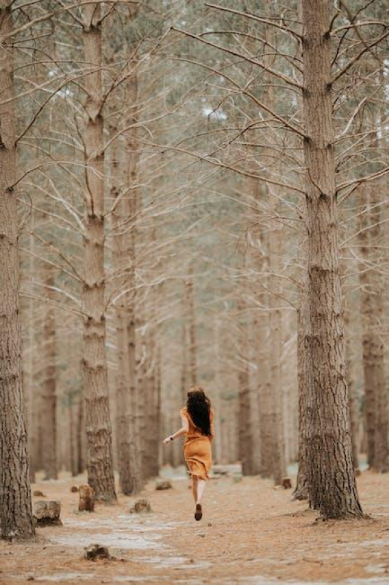 All Souls Day 2022: Date, History, and Traditions Explained