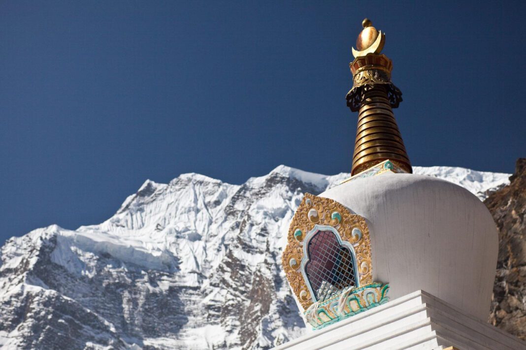 Discover the Expertise of Arpit Patel MD: Top Reasons to Trust this Physician