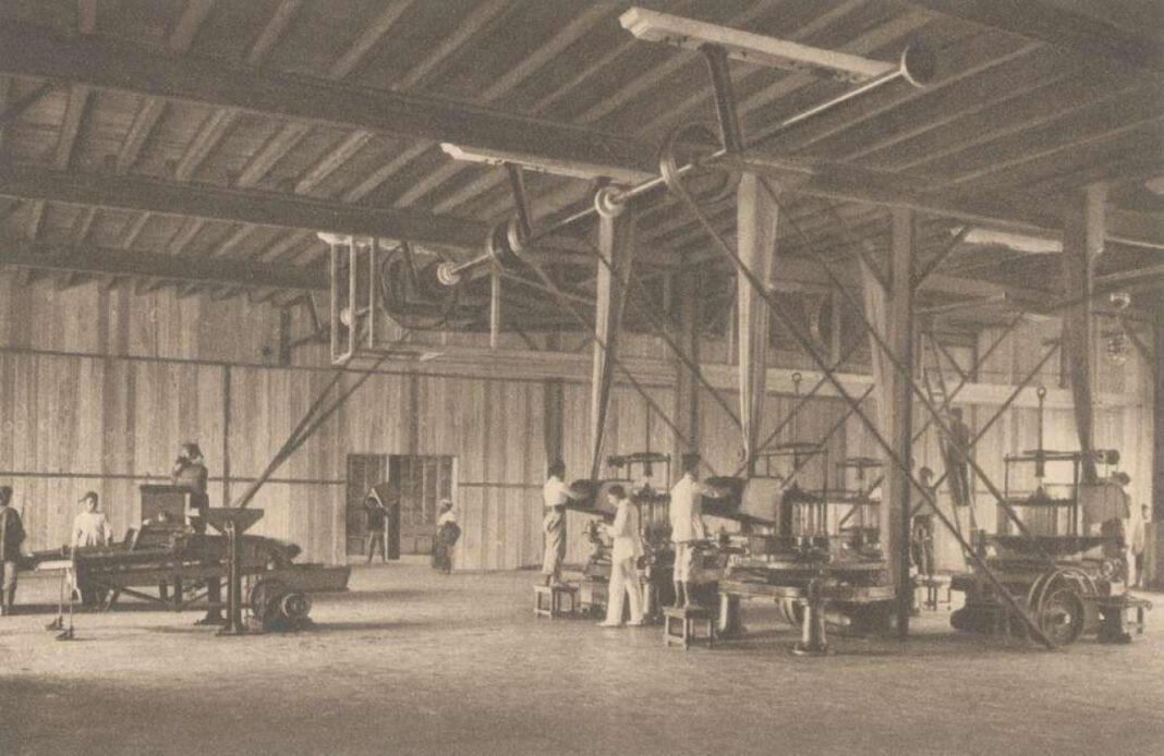 Unlock the Secrets of Kota Factory Casting