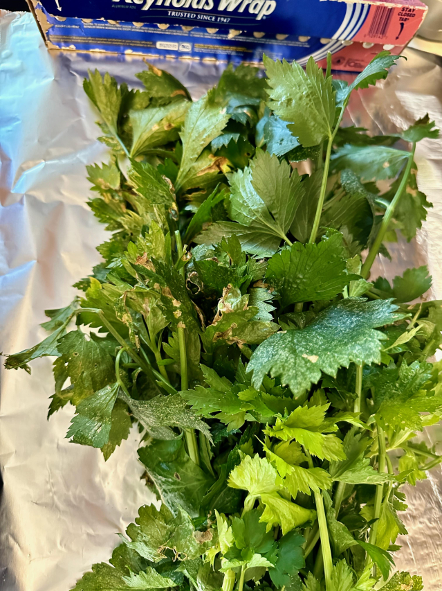 Maximize Your Veggie Harvest with Bud Nip Techniques