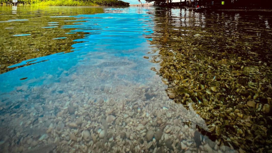 Uncovering the Charismatic Dr. Furman: A Personal Journey