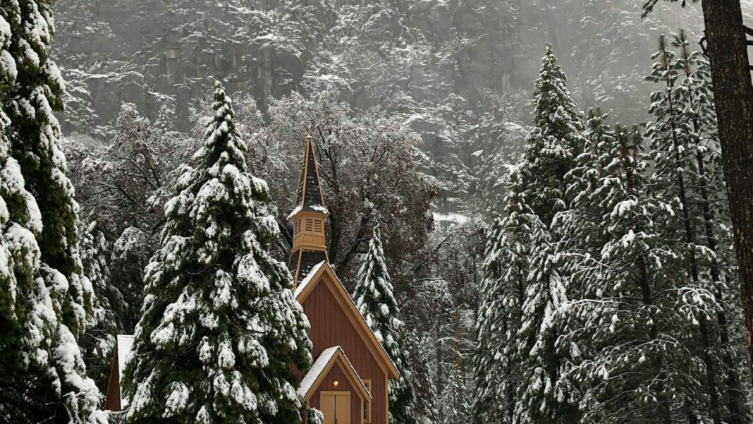 Get to Know Dr. Warner: The Ultimate Health Guru