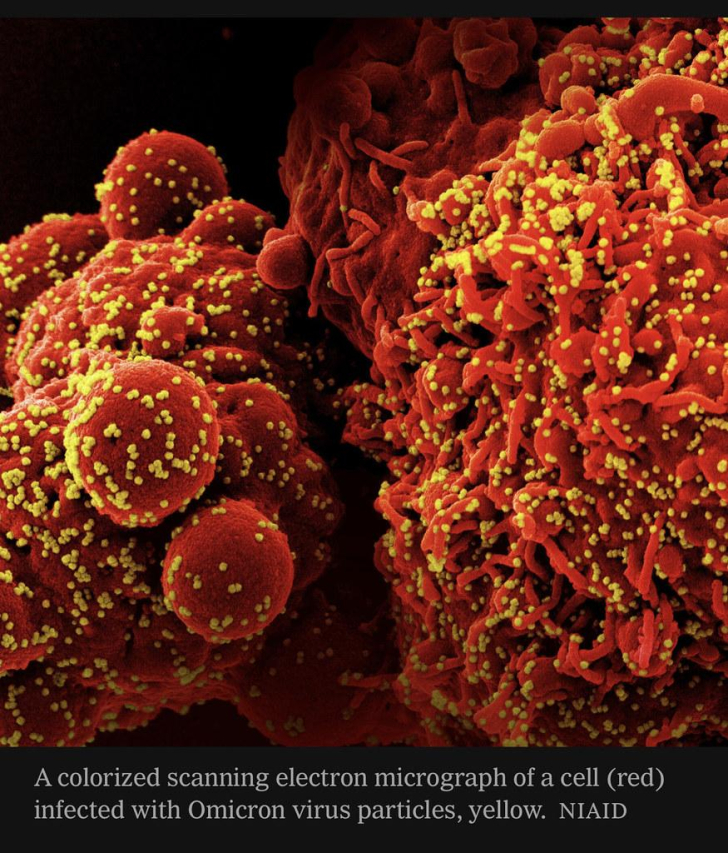 Find Your Local Infectious Disease Specialist Today!