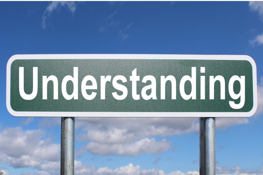 Understanding the Autism Society of MN