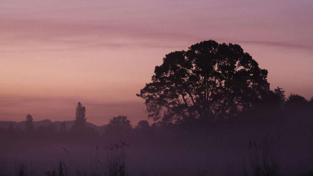 Explore the Auburn Cord Duesenberg Automobile Museum