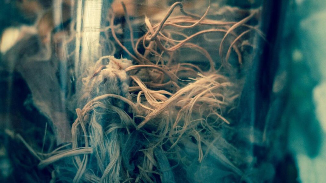 Get Your Fix of Juicy General Hospital Fanfiction Here