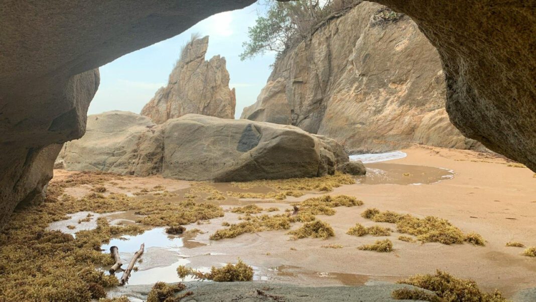 Larry Hernandez Height: From Biography to Reality