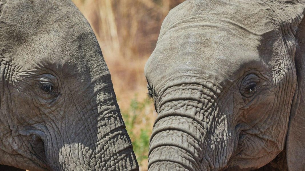 Get the Latest Updates on Demetrius Ivory WGN