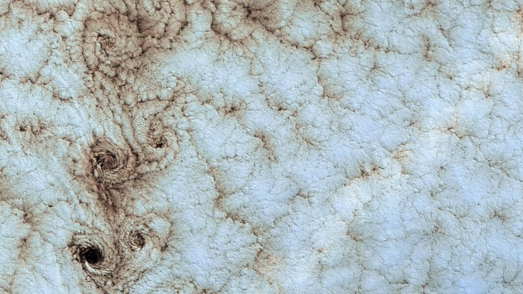 The Mystery Unveiled: What is Khandi Alexander’s Husband’s Name