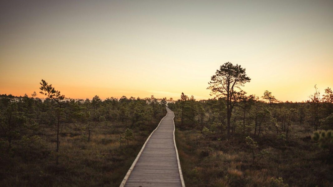 Kim Hye-soo’s Secret Marriage: A Closer Look at the Actress’s Personal Life