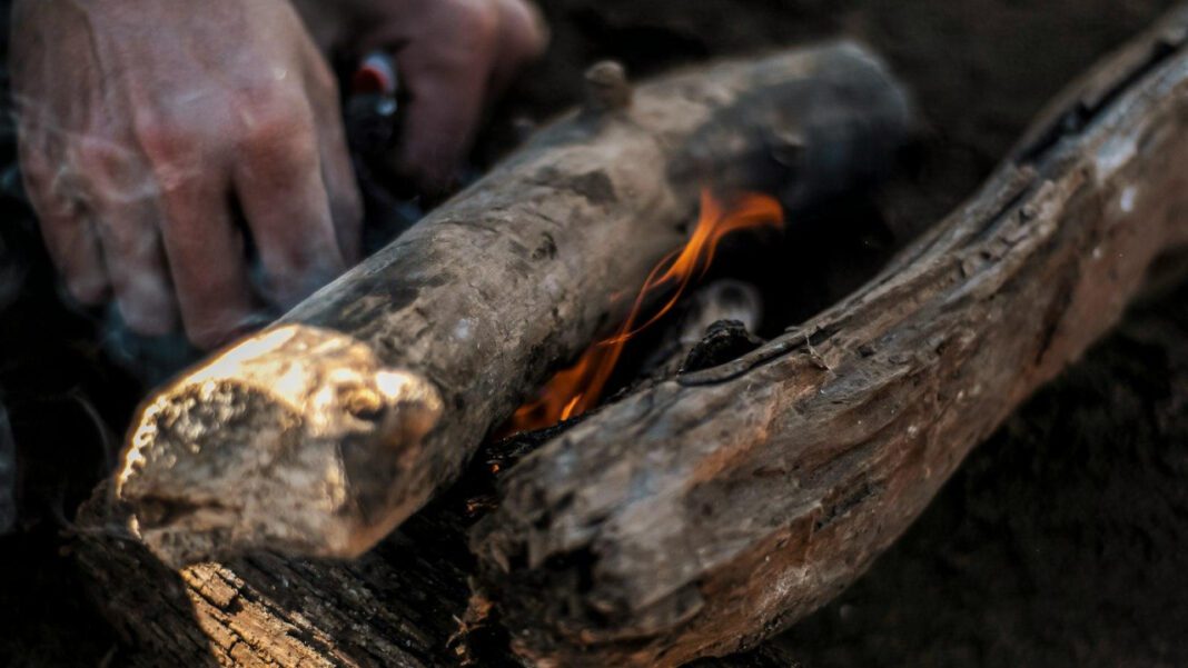 Lena Waithe: Breaking Down Her Impressive Net Worth