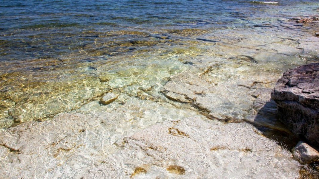 Bailey Sarian: The Truth About Her Baby