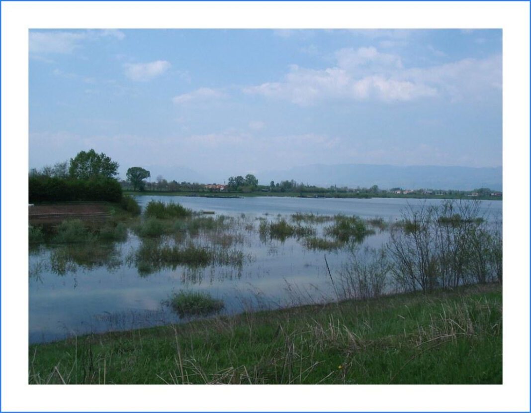 The Rise of Amy Stran: QVC’s Leading Lady