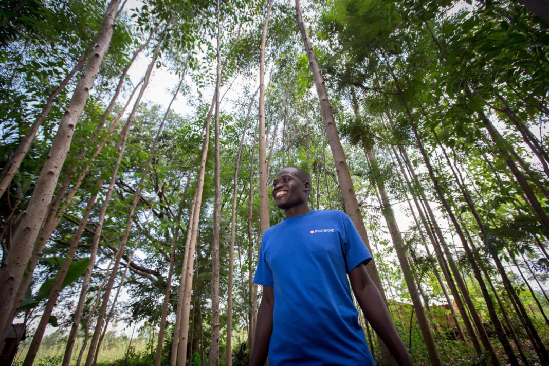 Unveiling Gerald Mwangi’s Impressive Net Worth