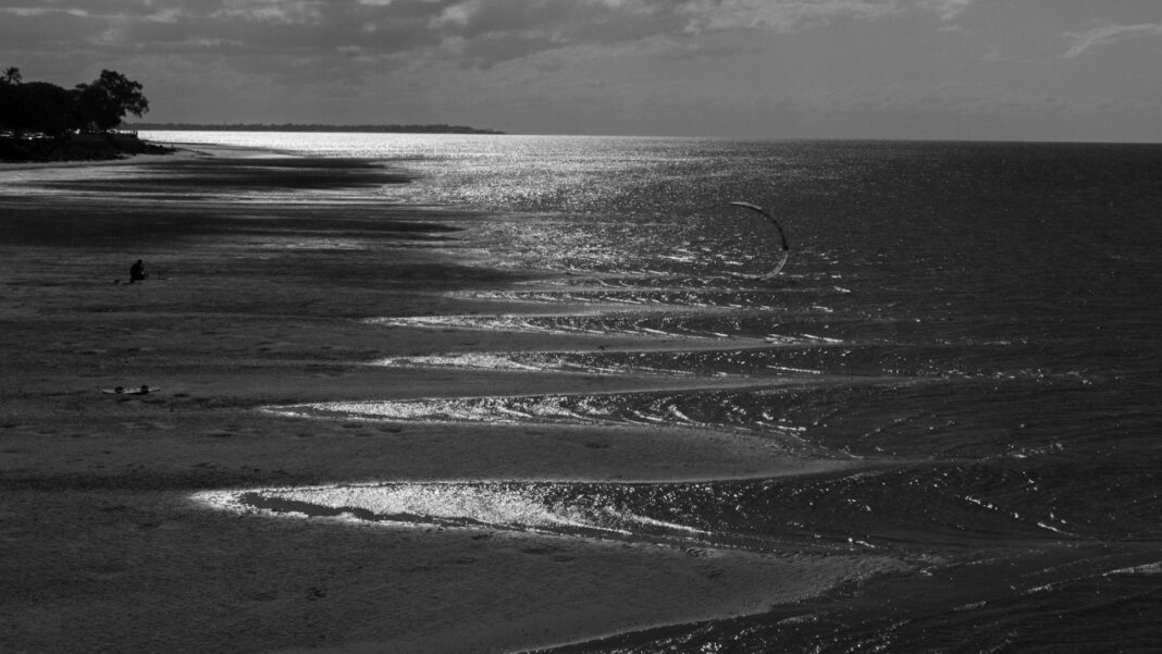 Mandy Harvey Net Worth: Biography of a Sensational Singer