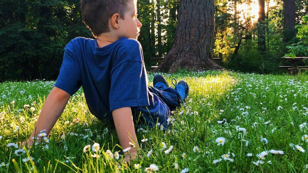 The Wealth of Ricky Hendrick’s Daughter: Net Worth Analysis