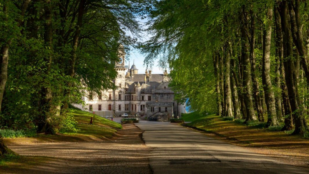 The Life and Journey of Chantel Christie: A Comprehensive Bio