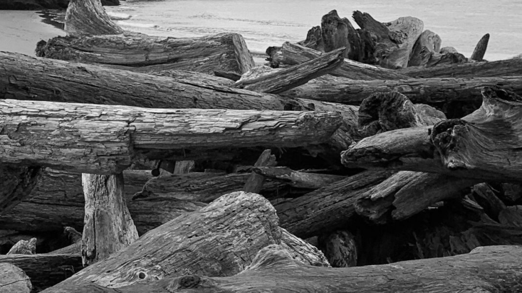 Is Clark Kellogg Married? Find Out the Truth Here