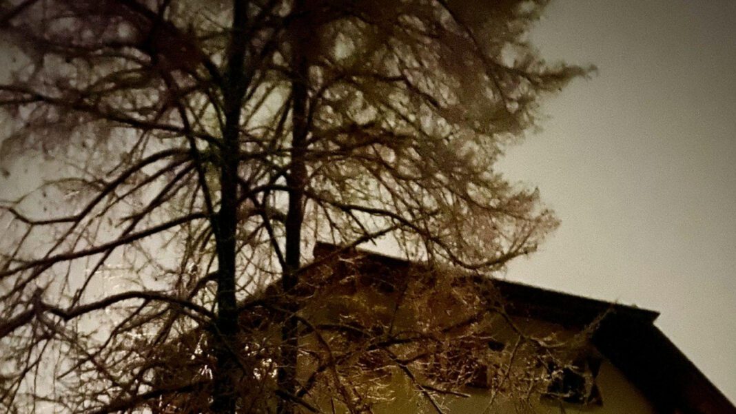 Birgit Gnabry: The Rising Star of German Football