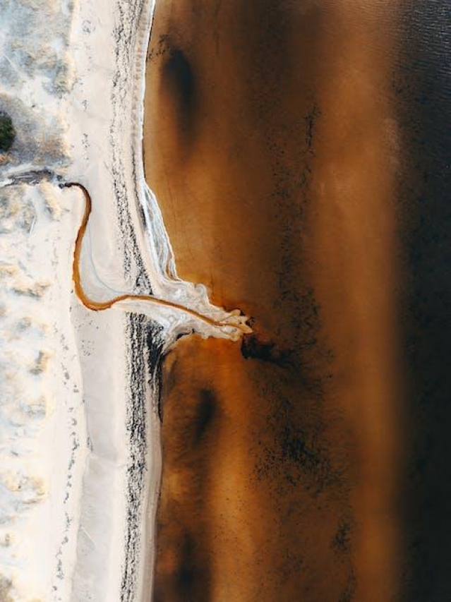 The Rise of Shamon Brown Jr.: A Closer Look at the Young Football Star