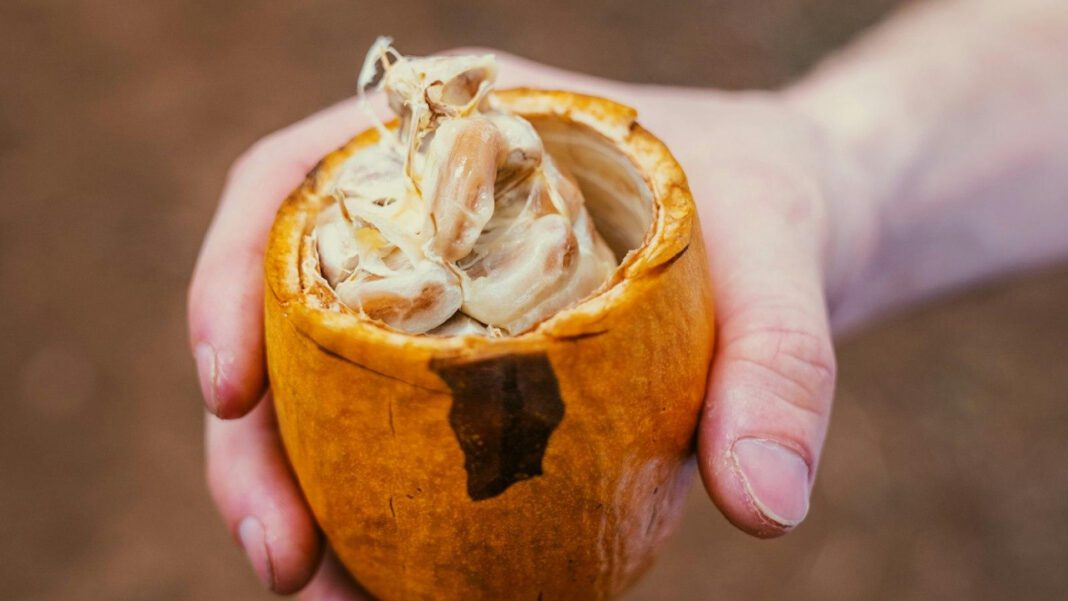 Coco Lovelock Real Name Revealed: Uncovering the Truth Behind the Mask