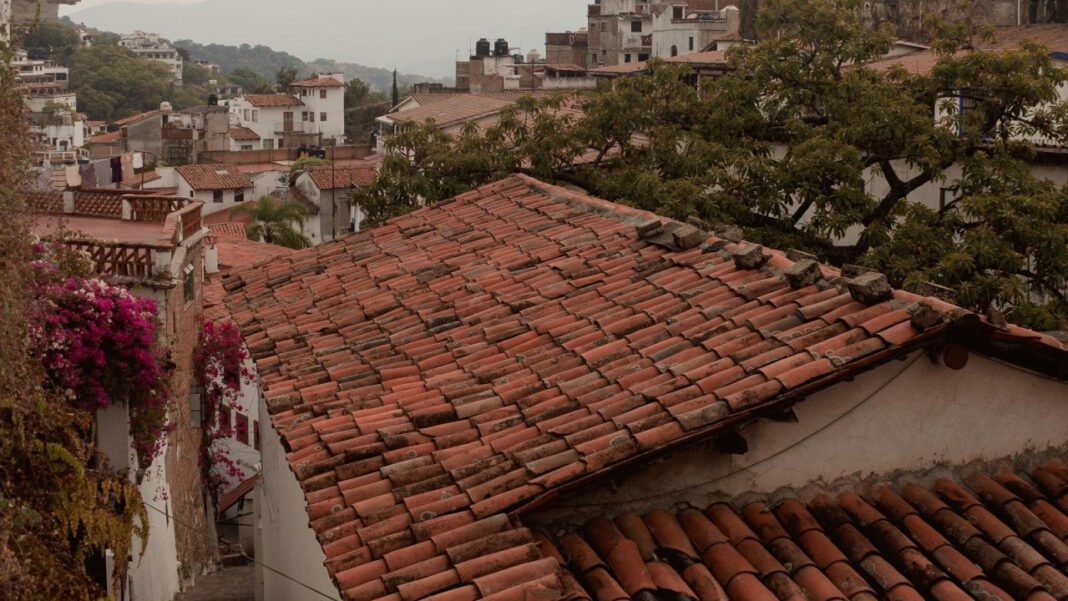 Discovering Cindy DeAngelis Grossman’s Nationality