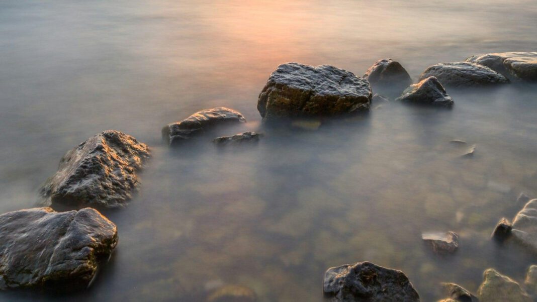 Parker Schnabel’s Wife in 2022: What We Know