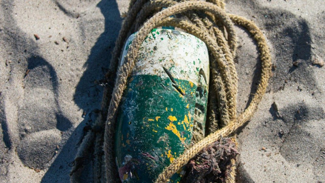 The Untold Story of Jen Carfagno’s Maiden Name