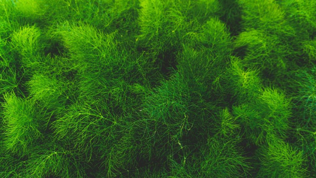 Alison Sweeney: 2022 Net Worth Revealed