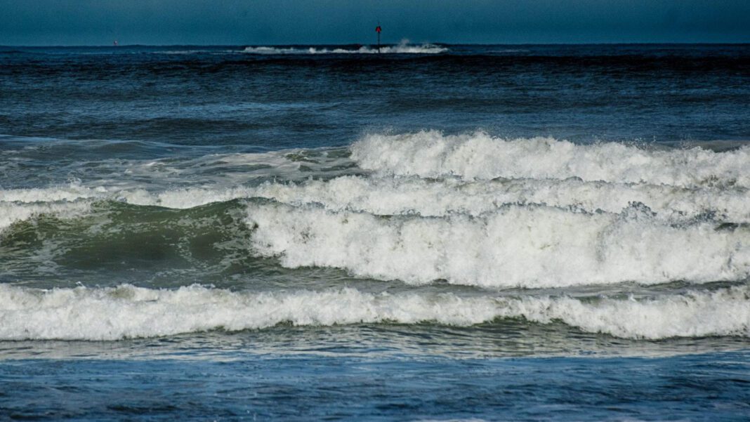 Lynn Gilmartin Net Worth: How Much Does the Poker Pro Make