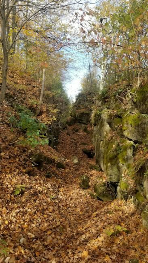 Discovering Bruce Dern’s Impressive Net Worth